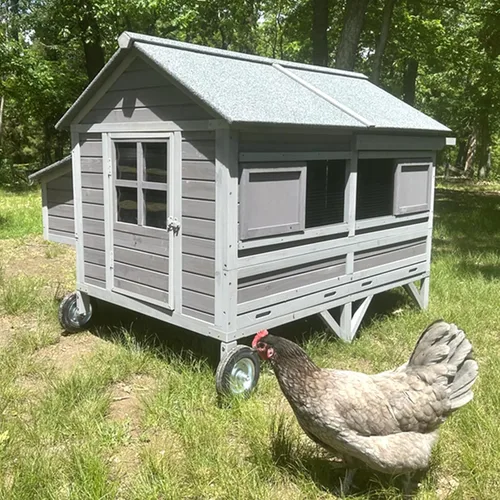Miniatura 8 de Aivituvin Gallinero móvil de madera para gallinero con caja de anidación, jaula grande para aves de corral mejorada con marco de hierro fuerte