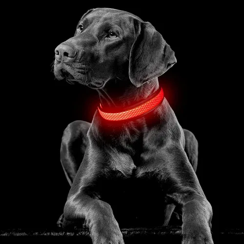 Miniatura 7 de YFbrite Collar de perro iluminado, collar de cachorro con LED recargable por USB, superbrillante, ajustable, luces brillantes para perro para Rojo