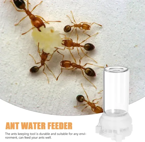 Miniatura 4 de Ipetboom Comedero de agua para hormigas, tazas de alimentación líquidas transparentes para Ant Farms, paquete de 2 herramientas de diseño duradero