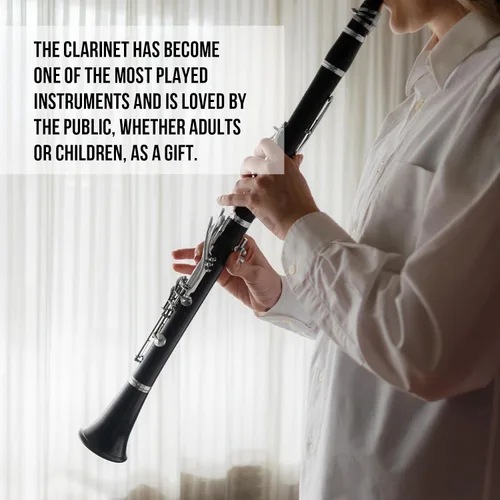 Miniatura 4 de Soulmate Clarinete para principiantes, estudiantes, adultos, juego de clarinete de 17 teclas con estuche rígido de 2 barriles, 10 cañas y kit