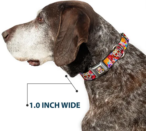 Miniatura 6 de Collar de perro hebilla de cinturón de seguridad Sugar Skull Starburst blanco multicolor 13 a 18 pulgadas 1.5 pulgadas de ancho