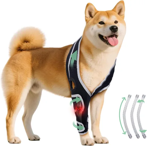 Rodillera para perro para desgarro del ligamento cruzado anterior, CCL, artritis, soporte de pierna trasera/trasera con arnés y correas