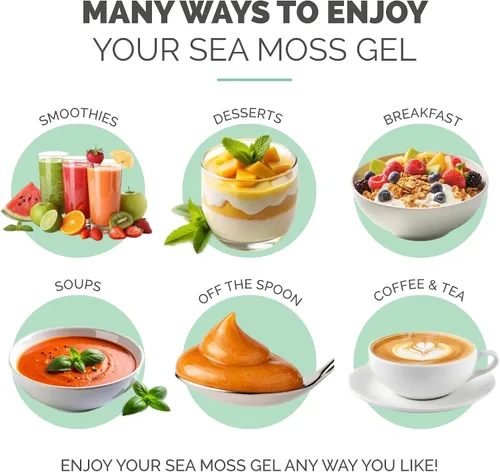Miniatura 6 de Gel orgánico de musgo de mar (8 sabores) – 16 onzas – fruta real – musgo de mar silvestre