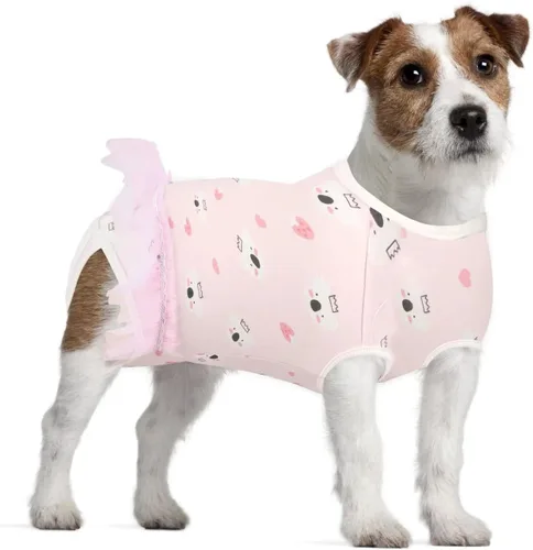 Etdane Pañales para perros, bragas sanitarias para el período fisiológico, trajes de recuperación quirúrgica para perros machos y hembras, koala