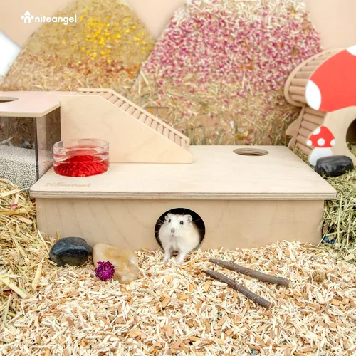 Miniatura 5 de Niteangel Casa de hámster de múltiples cámaras y laberinto: - Escondites de varias habitaciones y juguetes de exploración de túneles para hámster