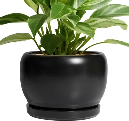 Miniatura 56 de SQOWL Macetas de cerámica – Maceta de 6 pulgadas con orificio de drenaje y bandeja, maceta redonda para plantas de interior, maceta decorativa