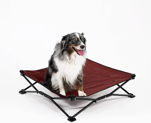 Miniatura 2 de Coolaroo On-The-Go Cama Elevada para Perros - Cama Plegable Emergente de Viaje para Perros con Tela Transpirable, Resistente a la Humedad, Bolsa