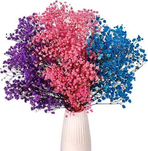Miniatura 8 de Flores secas para el aliento del bebé, flores naturales secas de 17 pulgadas, a granel con 3000 brotes, gypsophila seca real para bodas, fiestas