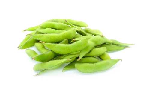 Miniatura 4 de Semillas de soja (Glycine max) – Más de 25 semillas sin OMG y reliquias de Isla's Garden Seeds, frijoles comestibles nutritivos para cultivo