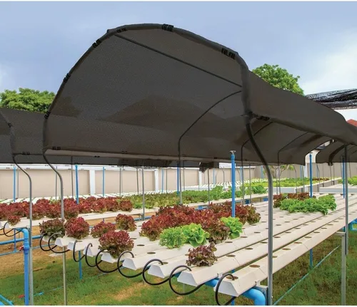 Miniatura 3 de Coolaroo - Tela de sombra para jardín con 30% de bloqueo UV para plantas - Tela de sombra transpirable y resistente a roturas para invernaderos