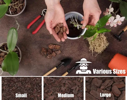 Miniatura 3 de Corteza de orquídea para plantas, corteza de pino orgánica para el desarrollo adecuado de raíces para Phalaenopsis, Cattleyas, Dendrobiums