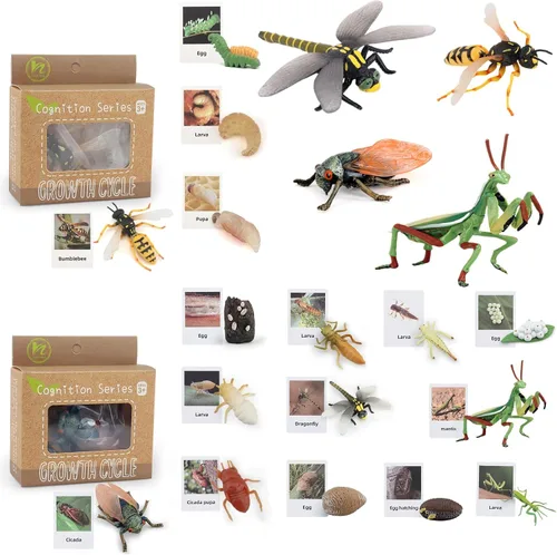 Miniatura 8 de Montessori Life Cycle Animal Insect Figurines Juguetes de aprendizaje y educación, juguetes de insectos de plástico para niños, actividades