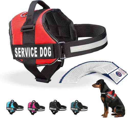 Arnés Industrial Puppy para perros con correas y asa, y chaleco con parche reflectante, en un cómodo diseño de malla, Bright Red 2-Rojo Brillante