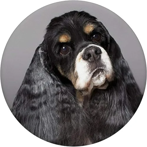 Miniatura 3 de Cocker Spaniel - Accesorio para teléfono móvil (diseño de perro y canina, con soporte para teléfonos y tabletas), color blanco y negro