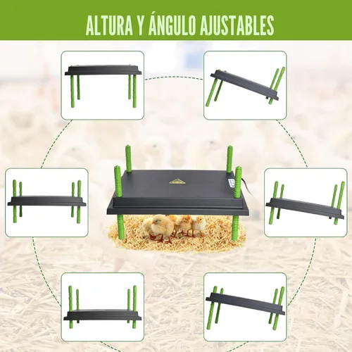 Miniatura 7 de Placa calefactora para pollitos, placa calefactora de 12 x 16 pulgadas para pollitos con pantalla ajustable de altura y temperatura, placa