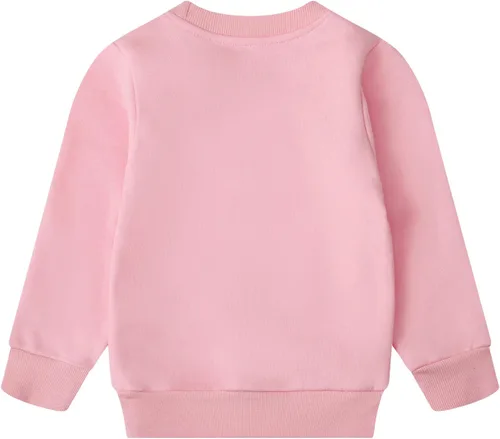 Miniatura 61 de Sudaderas para niñas pequeñas, cuello redondo, sin botones, de manga larga, para invierno, casual, ropa 2T-7T, Dinosaurio