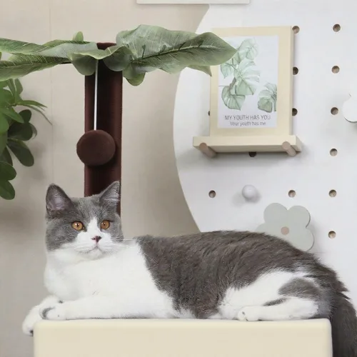 Miniatura 6 de Árbol de gato de 41 pulgadas para gatos de interior, torre de gato con tablero de rascar, casa de actividad moderna para gatos grandes, condominio