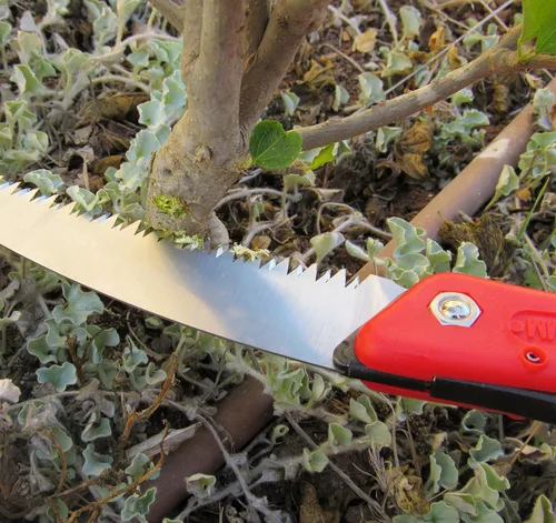 Miniatura 8 de TABOR TOOLS Sierra plegable con hoja curvada de 8 pulgadas y mango de agarre resistente, sierra de mano para podar árboles, recortar ramas, acampar
