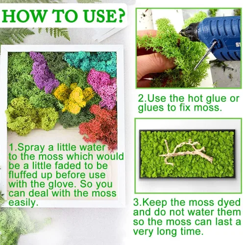 Miniatura 3 de Musgo preservado para manualidades, musgo de reno azul para plantas en maceta, decoración de musgo decorativo para arte de pared, musgo seco