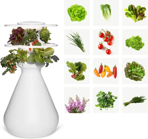 Kit de inicio Lettuce Grow Farmstand con anillos luminosos y 12 créditos para plántulas | Pequeño kit de sistema de cultivo hidropónico | Torre de