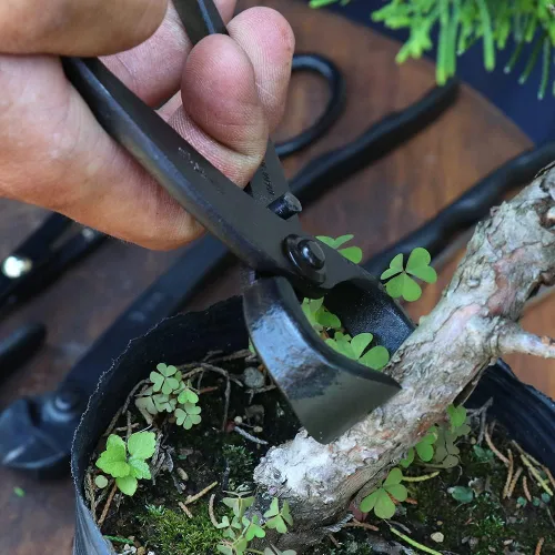 Miniatura 6 de Wazakura Cortador de raíz de bonsái forjado a mano fabricado en Japón, 6.7 pulgadas (6.693 in), cortador de árbol bonsái de acero al carbono negro