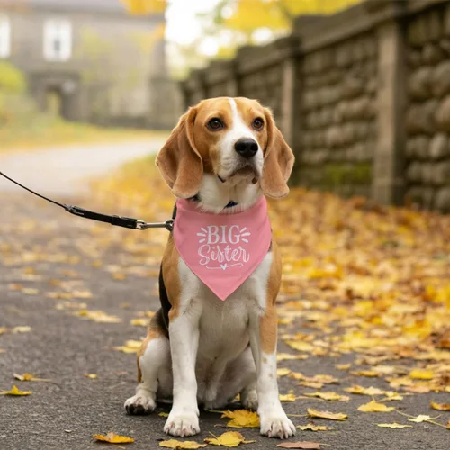 Miniatura 4 de Bandana para perro Big Sister, accesorios de bufanda rosa para mascotas, bufanda triangular para perros pequeños y medianos, bandana para perros