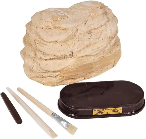Miniatura 2 de ArtCreativity Kit de excavación de dinosaurios para niños, juego de excavación de cráneo de braquiosaurio con herramientas de excavación de fósiles