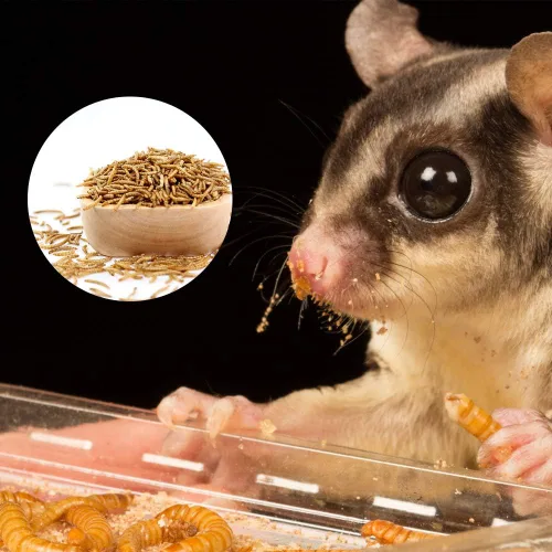 Miniatura 6 de 20 libras de gusanos secos, gusanos altos en proteínas para aves, pollos, tortugas, peces, hámsters y erizos, sin OMG y libres de químicos, alimento