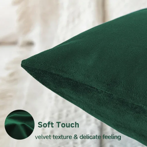 Miniatura 5 de QUORGVES Juego de 2 fundas de almohada de terciopelo verde de 20 x 20 pulgadas, fundas de almohada cuadradas decorativas suaves y sólidas, fundas
