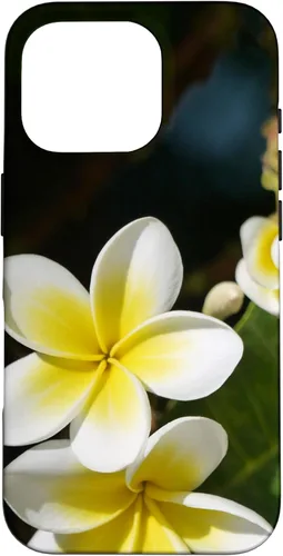 Miniatura 20 de iPhone 12/12 Pro Plumeria Flower - Carcasa amarilla