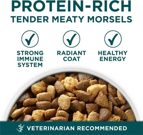 Miniatura 6 de Purina ONE Plus Fórmula Seca para Cachorros de Raza Grande - Bolsa de 40 lb