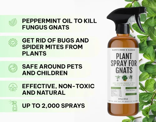 Miniatura 2 de Kate's Home & Garden - Spray para plantas contra insectos y mosquitos con 12 trampas adhesivas. Asesino de mosquitos del hongo y repelente