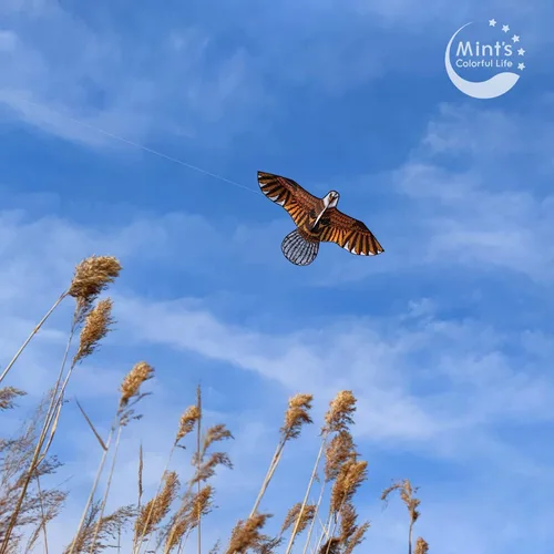 Miniatura 2 de Cometa de águila calva para adultos y niños, cometas enormes fáciles de volar cometa de una sola línea para viaje a la playa