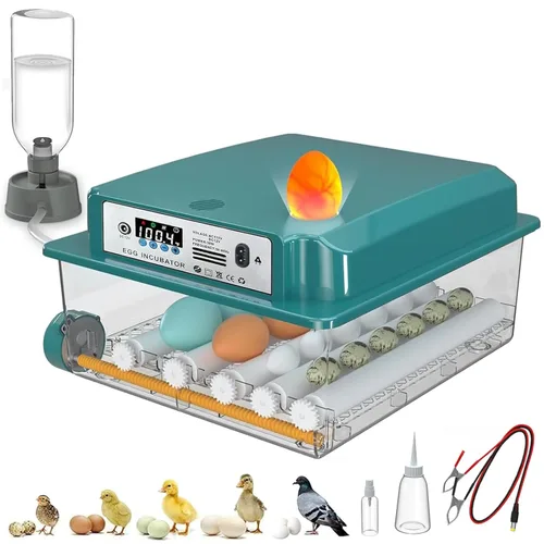 CoInceptus 16 incubadoras de huevos para incubar huevos, incubadora de huevos con giro automático de huevos y control de temperatura, incubadoras de