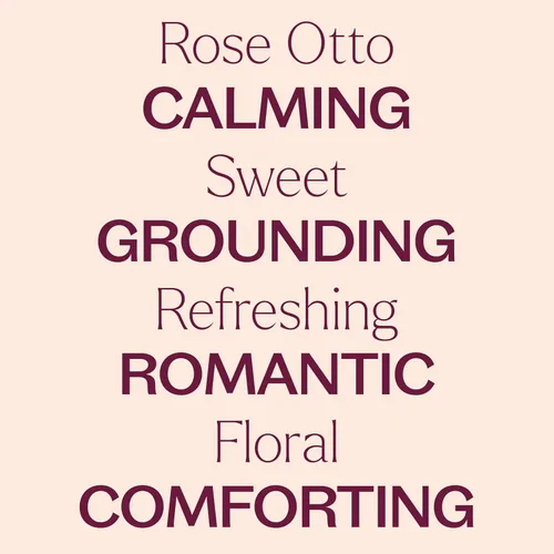 Miniatura 5 de Plant Therapy Aceite esencial Rose Otto 5 mL (1/6 oz) 100% puro, sin diluir, aromaterapia, cuidado de la piel, relajante y romántico aroma