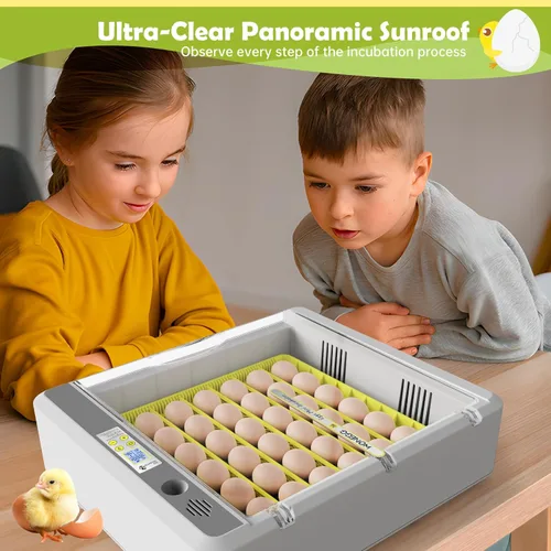 Miniatura 7 de Incubadora de huevos para incubar pollos, girador automático de 36 huevos con control de temperatura y humedad, vista panorámica multifuncional