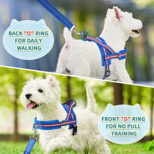 Miniatura 4 de SlowTon Juego de arnés y correa para perros pequeños sin tirones, arnés suave para cachorros ajustable en el cuello y el pecho, arnés reflectante