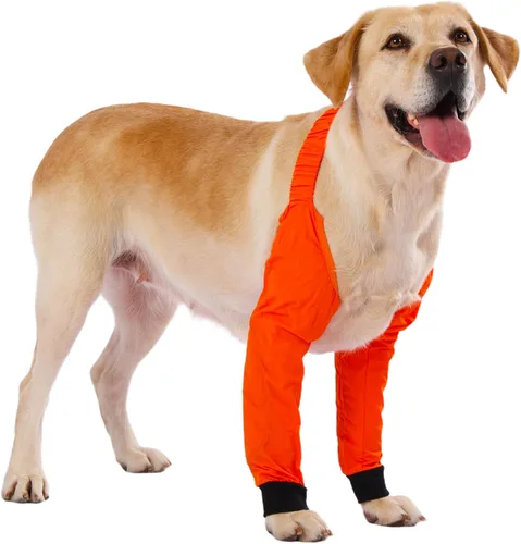 Miniatura 8 de LovinPet Mangas delanteras para perros medianos y grandes, protector impermeable para codos y rodillas, recuperación antilamientos, soporte