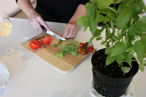 Miniatura 5 de Emsco Grupo Bountiful caja de cultivo, cama elevada para cosechar, maceta hidrofónica, no eléctrica