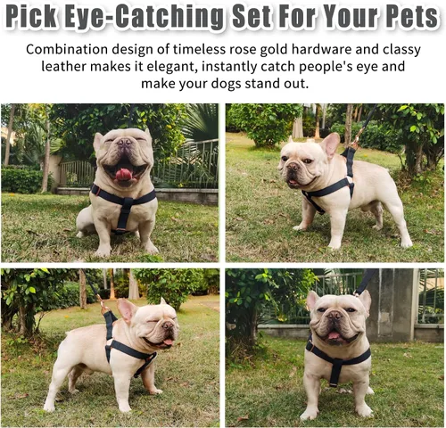 Miniatura 4 de Arnés de Cuero Suave Sin Tirones para Perro - Arnés Ajustable de Paso para Perro con Hebilla de Metal Resistente de Oro Rosa, Chalecos Halter