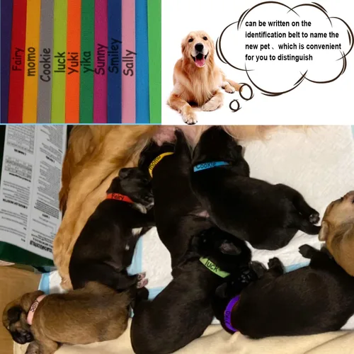 Miniatura 5 de 15 Piezas Collares de Parto para Cachorros Collares para Mascotas Recién Nacidas Bandas de Identificación Ajustables Suaves de Doble Cara Collares