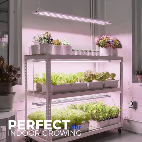 Miniatura 8 de Barrina TX-L63 - Luces de cultivo de 3 pies para plantas de interior, 252 W (4 x 63 W), 4 paneles LED de cobertura más amplia, espectro completo