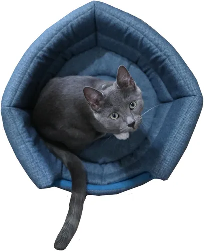 Miniatura 4 de Travel Cat Meowbile - Casa para gatos de interior, 25 x 18 x 17 pulgadas, cama y cueva para gatos convertible y duradera de alta calidad