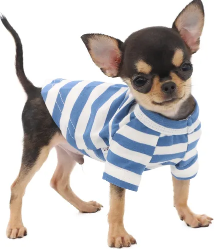 Miniatura 8 de LOPHIPETS Camiseta para Perro 100% Algodón para Perros Pequeños Teacup Chihuahua Yorkie Ropa para Cachorros-Azul/S