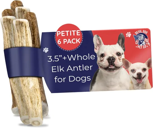 Miniatura 14 de Devil Dog Pet Co. Cornamentas de alce para perros, extra grandes 17,8 cm+, 1 paquete, grado A, masticable duradero para masticadores agresivos, asta