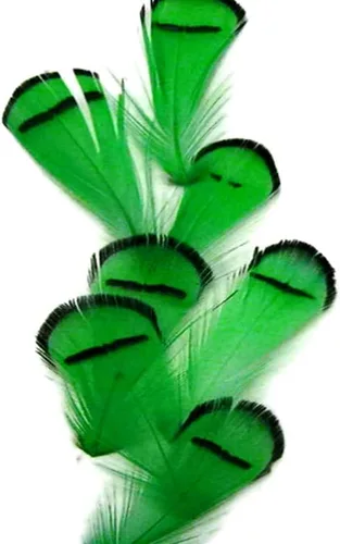 Miniatura 3 de Green Lady Amherst - Plumas artesanales de faisán, 1 docena