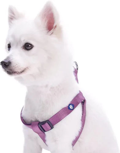Miniatura 9 de Blueberry Pet Essentials Step-in - Arnés para perro, tamaño mediano, chaleco ajustable rosa fucsia, nailon sólido clásico para perros machos