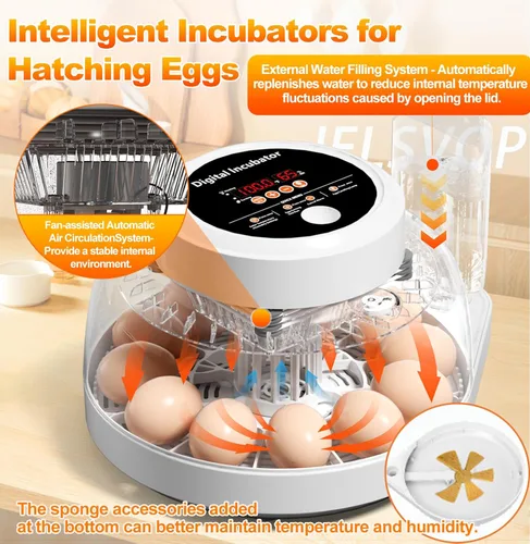 Miniatura 2 de Incubadoras mejoradas para incubar huevos, incubadora de 12 huevos con giro automático de huevos, control de temperatura y pantalla de humedad, vela