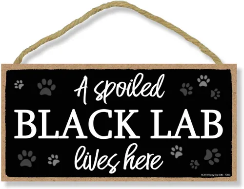 Miniatura 8 de Honey Dew Gifts A Spoiled Beagle Lives Here - Cartel colgante de perro de 5 x 10 pulgadas, arte de pared, letrero decorativo de madera