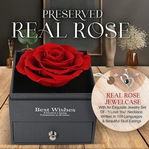 Miniatura 2 de GLAMOUR BOUTIQUE Preserved Rose in a Box with I Love You Necklace in 100 Languages - Enchanted Flower Jewelry Set with Silver Stud Earrings Gifts